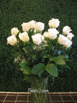 La danse des roses (24 roses dans un vase)